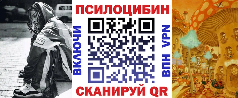 Купить  Змеиногорск  Псилоцибиновые грибы GOLDEN TEACHER 